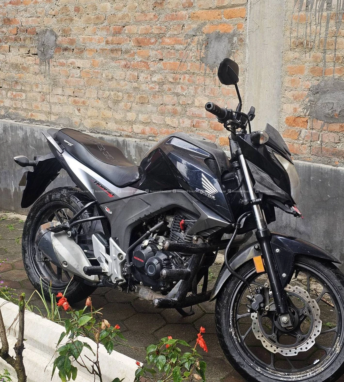 Hornet 160 78 Lot for sale