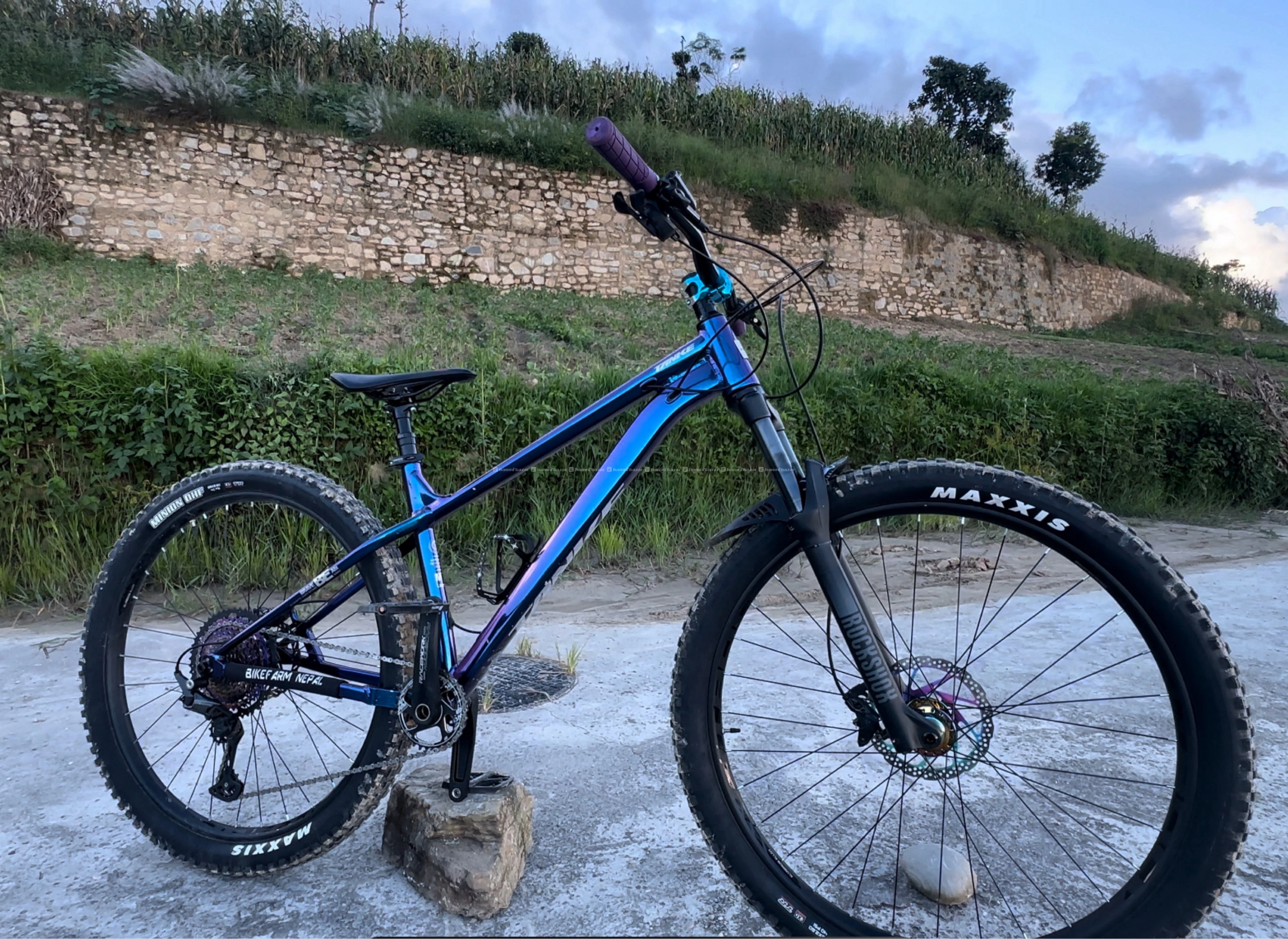 All mountain custom mtb 2