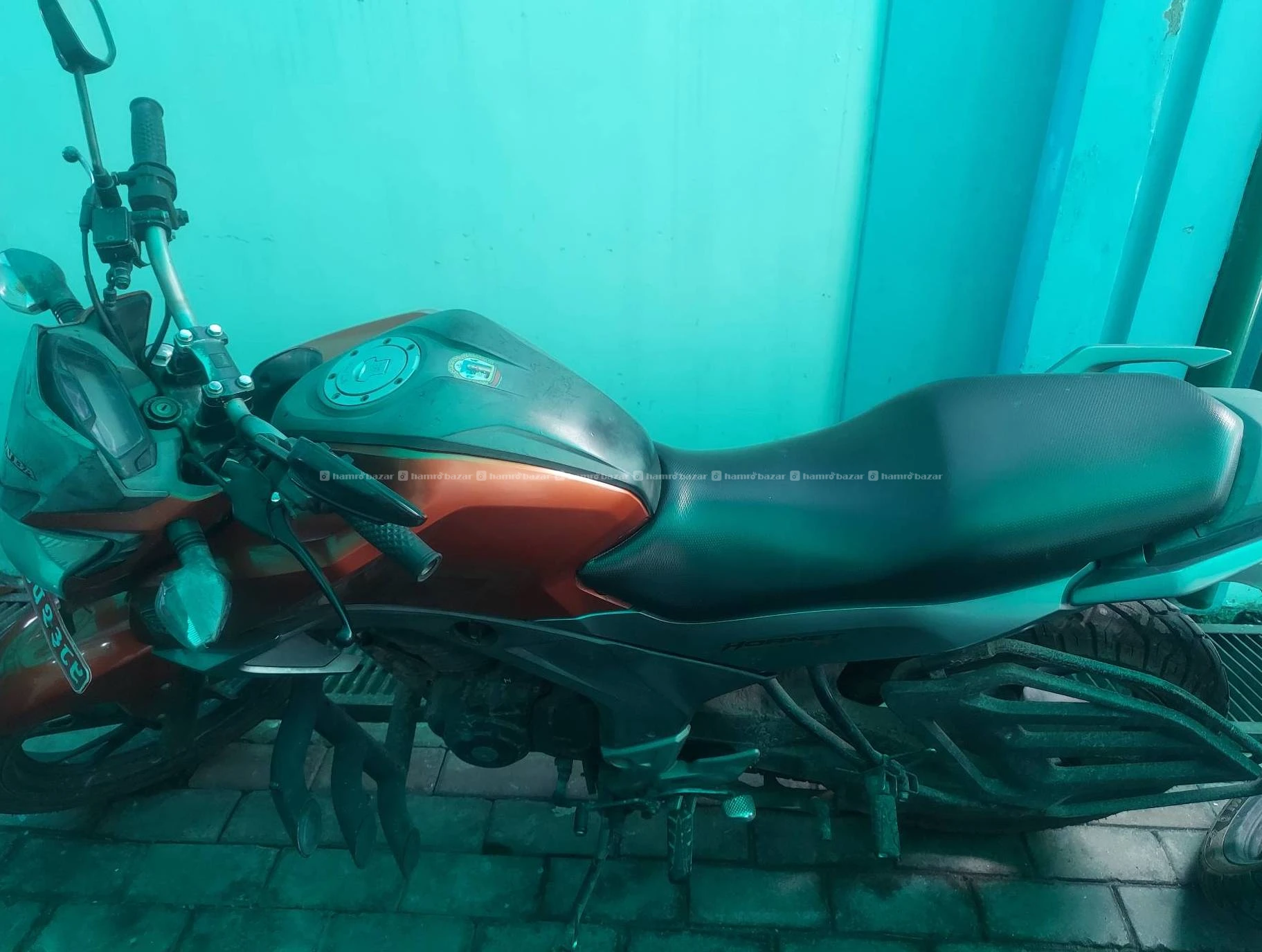 Honda hornet