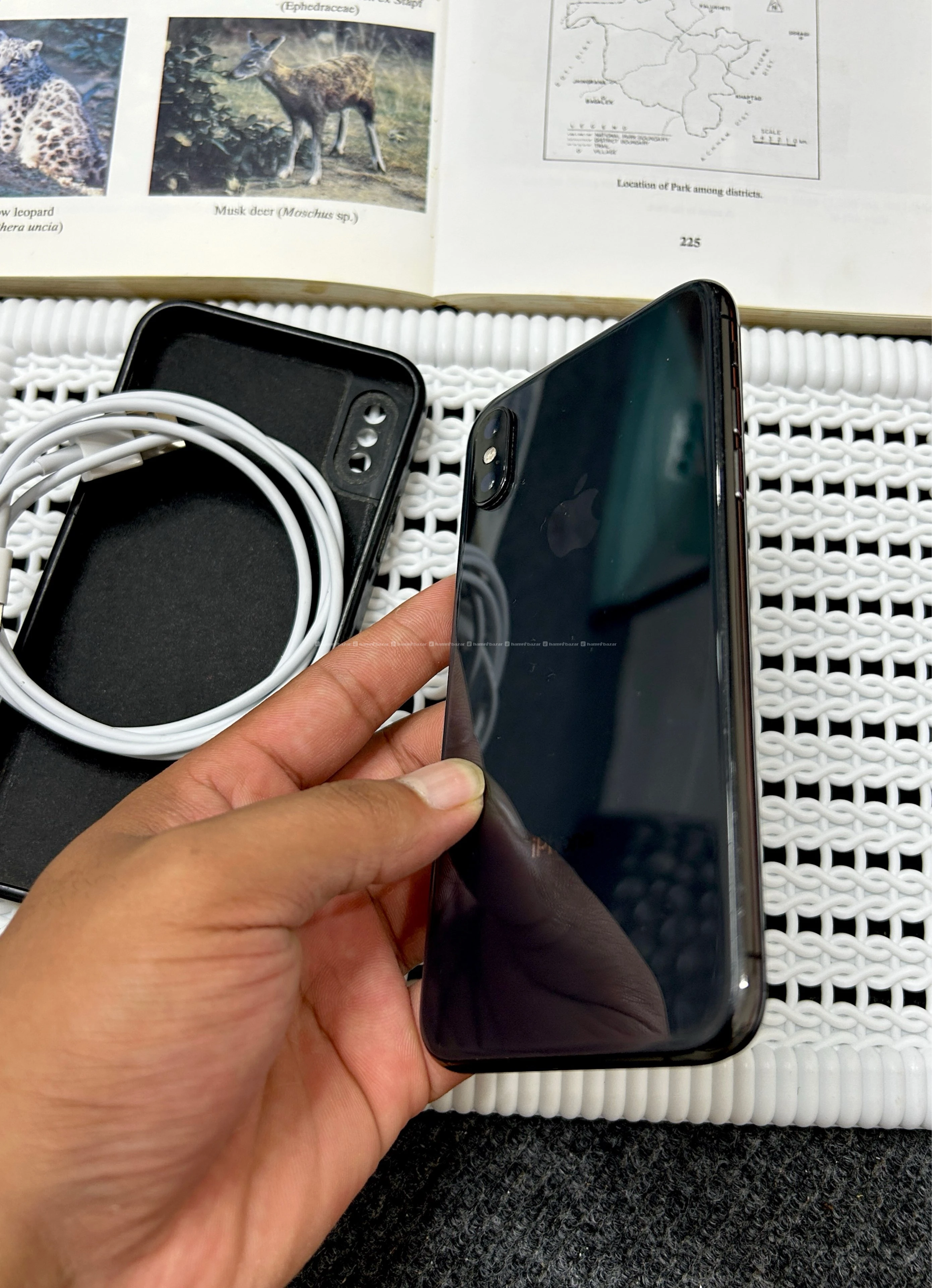 iPhone XS
