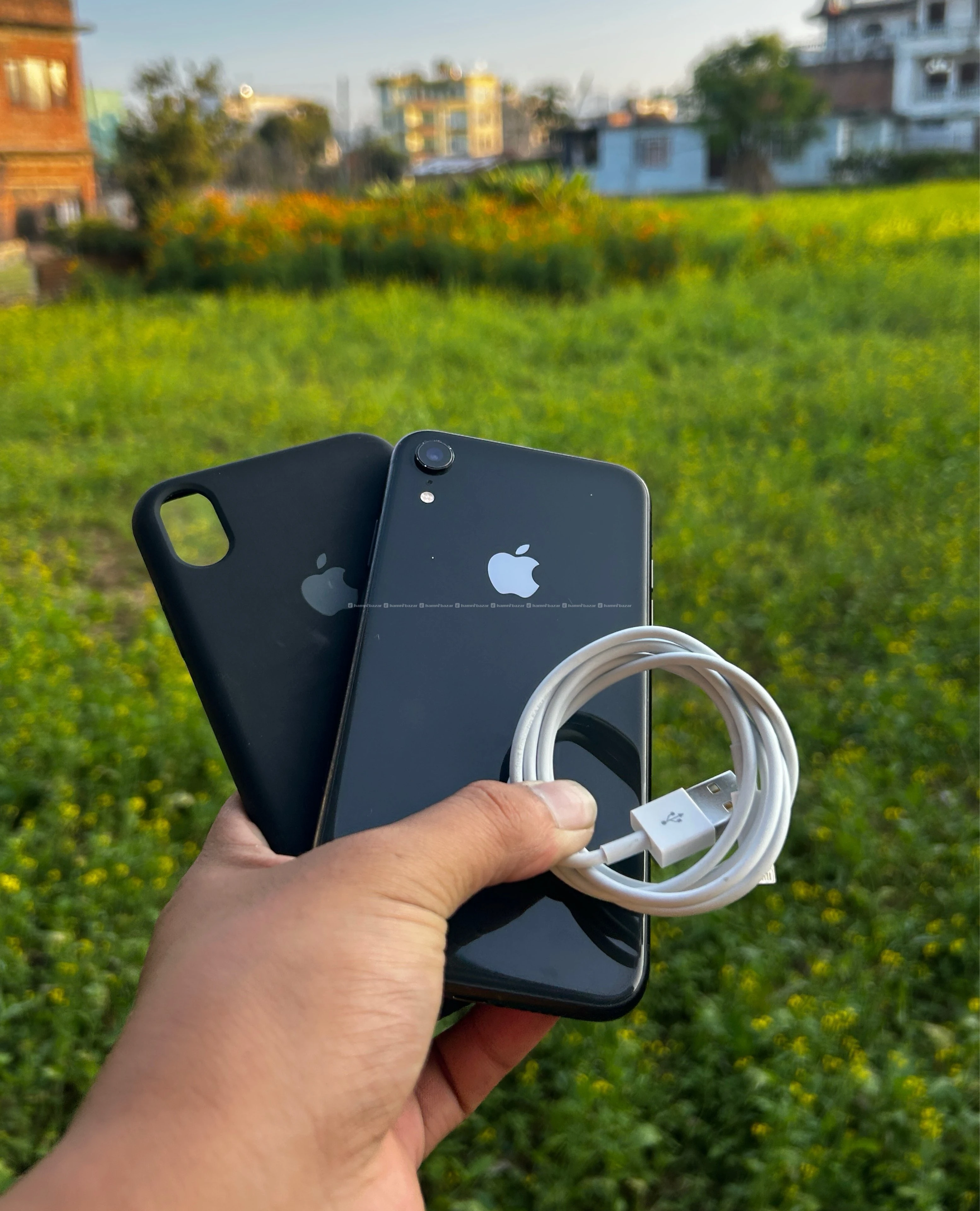 iPhone XR